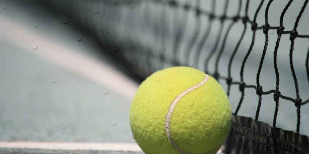 ball in net wet